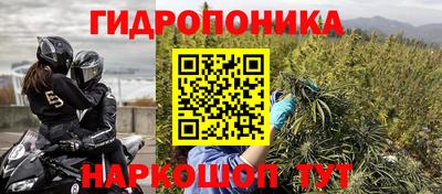 стафф Абакан