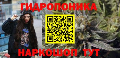 стафф Абакан