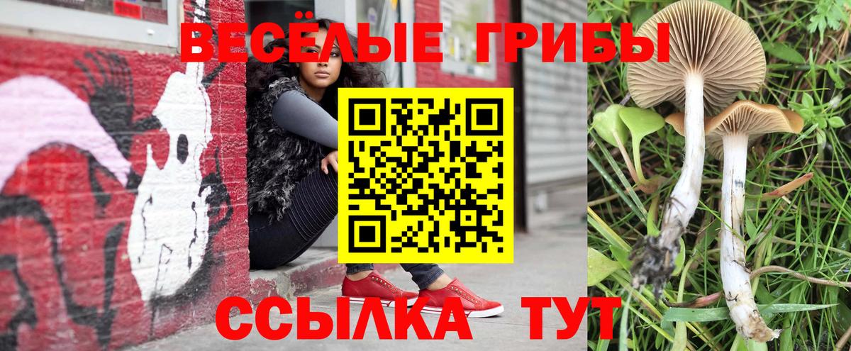 Псилоцибиновые грибы Cubensis Амурск